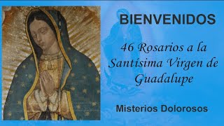 46 Rosarios a la Santísima Virgen de Guadalupe, Misterios Dolorosos viernes 15 de noviembre 2024.