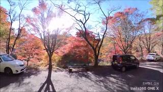 タカドヤ湿地の紅葉　通り抜け(高画質版)