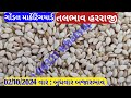 Gondal tal na bhav 2024 | તલ ના ભાવ | ઉનાળું તલ ના ભાવ  | Safed tal no bhav | તલ ના ભાવ | 02.10.2024