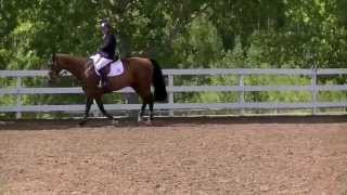 HorseJunkiesUnited.com - Eric Lamaze and Power Play Warm-Up Spruce Meadows