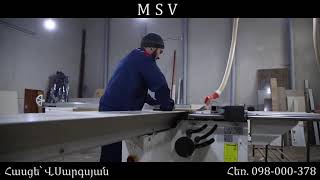 MSV