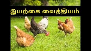 BACK YARD POULTRY REARING புறக்கடை கோழிகளில் இயற்கை வைத்தியம்