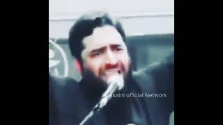 28th Safar SHAHDAT Imam Hassan as | MAULANA SYED ALI Raza Rizvi | Shia Status | Masaib Status |