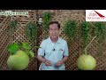 คลินิกเกษตร live ep68 19 12 2565