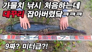 가물치 낚시 처음인데 미터급 잡아버림ㅋㅋㅋㅋ catch the snakehead