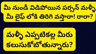 💯మీ నుండీ విడిపోయిన పర్సన్ మళ్ళీ మీ లైఫ్ లోకి తిరిగి వస్తారా! లేదా?ఎప్పటికల్ల కలుస్తారు తెలుసుకోండి