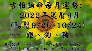 【古柏論命每月運勢】2022年農曆9月(陽曆9/26 ~ 10/24)生肖運勢分享 -  雞、狗、豬  + ✽✽✽財運桃花✽✽✽