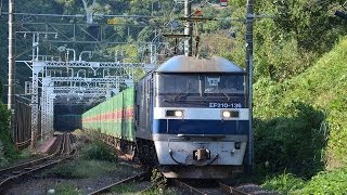 EF210-136（新）　52レ福山レールエクスプレス　根府川駅通過