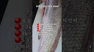 9/1일 여름철 민어회가 엄청 싱싱하고 맛있습니다! 강추