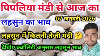 लहसुन भाव आज का पिपलिया मंडी today garlic rate Pipliya Mandi