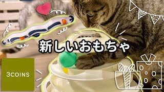 【3coins】神オモチャに大興奮な猫たち🐱🐾💕