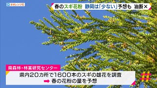 スギ花粉「少ない」予想も油断できず　花粉を減らす　新たな研究も