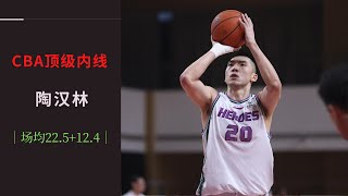 【CBA人物】之陶汉林，208cm的山东内线，赛季场均22.5+12.4（上）