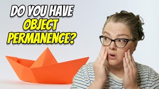 What is Object Permanence?