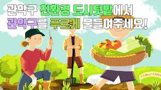 관악구 도시텃밭의 지킴이를 모집합니다! 관악구 도시텃밭 분양! - 포켓인관악 2020.02.24