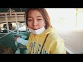 vlog 72 ชั่วโมงที่วังเวียง ep.1