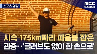 [스포츠 영상] 시속 175km짜리 파울볼 잡은 관중‥'글러브도 없이 한 손으로' (2024.06.25/뉴스데스크/MBC)