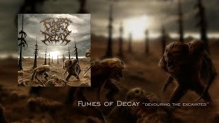 Fumes of Decay \