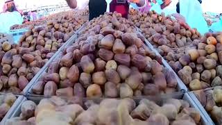 Saudi Arabia’s Unaizah Date Festival