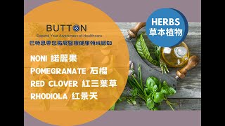 【草本植物系列】Noni 諾麗果, Pomegranate 石榴, Red Clover 紅三葉草, Rhodiola 紅景天的介紹（作用、功效和安全性）