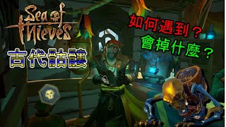 《盜賊之海 Sea of Thieves》古代骷髏 Ancient Skeleton 是什麼特別的存在 (Cht sub)