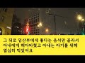 【실화사연】아내가 태교여행을 떠난 사이 옷장에서 경악할 물건을 발견하는데..문틈사이로 들려오는 둘의 대화를 듣고 이악물고 복수해줬습니다