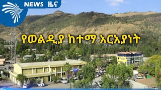 የወልዲያ ከተማ አርአያነት ARTS TV NEWS @ArtsTvWorld