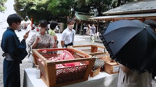 川越氷川神社  縁むすび風鈴 2022 Kawagoe Walk