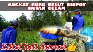 spot hutan gelam!!!edisi durasi full angkat bubu belut