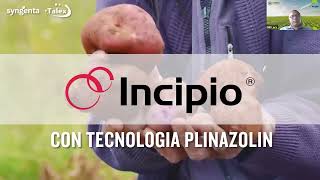 Incipio, la mejor herramienta para el control de plagas clave en el Perú | Por Nill Lara