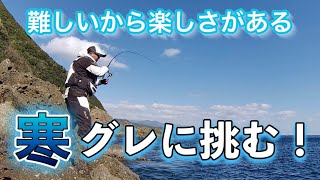 佐多田尻枇榔島ツブキとワイシで寒グレ釣り