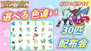 リスナー産！選べる色違い30匹 配布会！色メロエッタなど伝説配布も！【ポケモンSV】