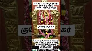 #காணக்கிடைக்காத காட்சி 🙏வெற்றிவேல் முருகனுக்கு அரோகரா🙏🙏🙏🙏