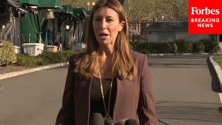 BREAKING NEWS: Alina Habba Calls Signal Leak Distraction: 'I Frankly Have Never Read The Atlantic'