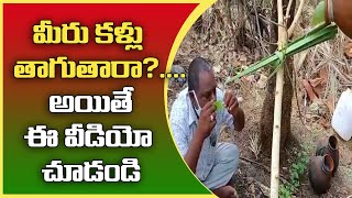 మీరు క‌ళ్లు తాగుతారా? ... అయితే ఈ వీడియో చూడండి | Safety Leaf Setup for Toddy Drinkers | GT TV