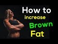 How to Increase Brown Fat - 5 Fastest Ways to Increase Brown Fat in Body How to Increase Brown Fat - 5 Fastest Ways to Increase Brown Fat in Body
