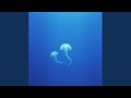 Ocean of Your Love