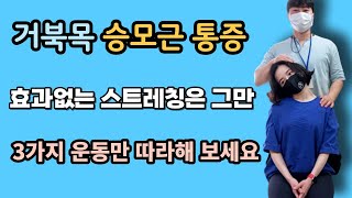 거북목 승모근 통증 효과없는 스트레칭은 그만 3가지 강화 운동 따라해 보세요(대흉근 스트레칭 흉추가동성 운동 어깨 가동성 운동)