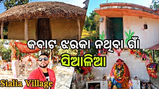 Mysterious Place In Odisha | କବାଟ ଝରକା ନଥିବା ଗାଁ | Kendrapara Sialia Village