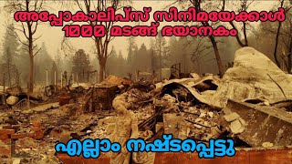 അമേരിക്കയിൽ തീ പിടുത്തം 😢 | American fire | Los Angeles | talk trending stories