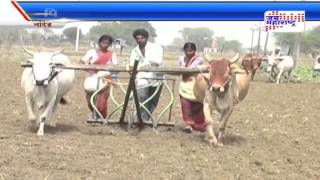 Nanded farmer are in trouble