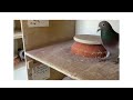 insane nr. 1 best racing pigeon secret