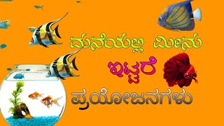 Benefits of keeping aquarium in home in kannada.ಮನೆಯಲ್ಲಿ ಅಕ್ವಾರಿಯಂ ನಿರ್ವಹಣೆಯಿಂದಾಗುವ ಪ್ರಯೋಜನಗಳು|