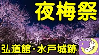 夜梅祭　水戸　弘道館・水戸城跡　満開の梅　プロジェクションマッピング　みんなで鑑賞しましょう　地球１周４万キロライブ配信　Day24・174キロ-17525キロ【ちんあなご】