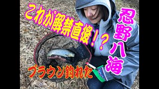 忍野でブラウンは釣れた！2020解禁直後に！？