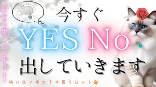 【４択】サクッと鑑定！🎯YES NO 出します！👍【本格タロット◇忖度一切なし】