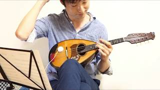 サザナミガゼル with 振動スピーカー #mandolin #mandoline #マンドリン