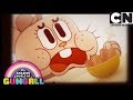 El Increíble Mundo de Gumball en Español Latino | La Varita | Cartoon Network