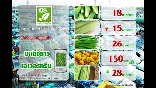 ราคาผักประจำวันที่ 11 พฤศจิกายน 2565