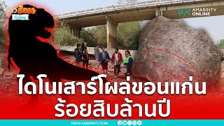 พบซากฟอสซิลไดโนเสาร์อายุประมาณ 100-110 ล้านปี | เรื่องร้อนอมรินทร์